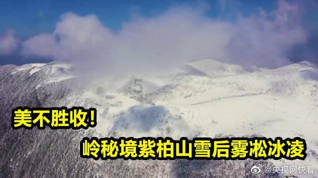矿工打地鼠