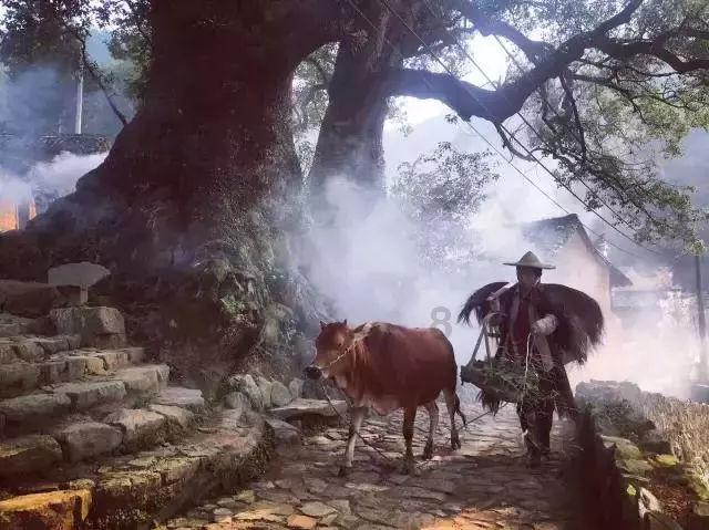 植物大战僵尸16