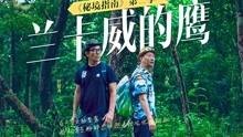 王菲为什么和谢霆锋分分合合？他们之间的感情是什么样的？