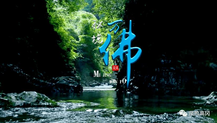 舞熊森林逃生