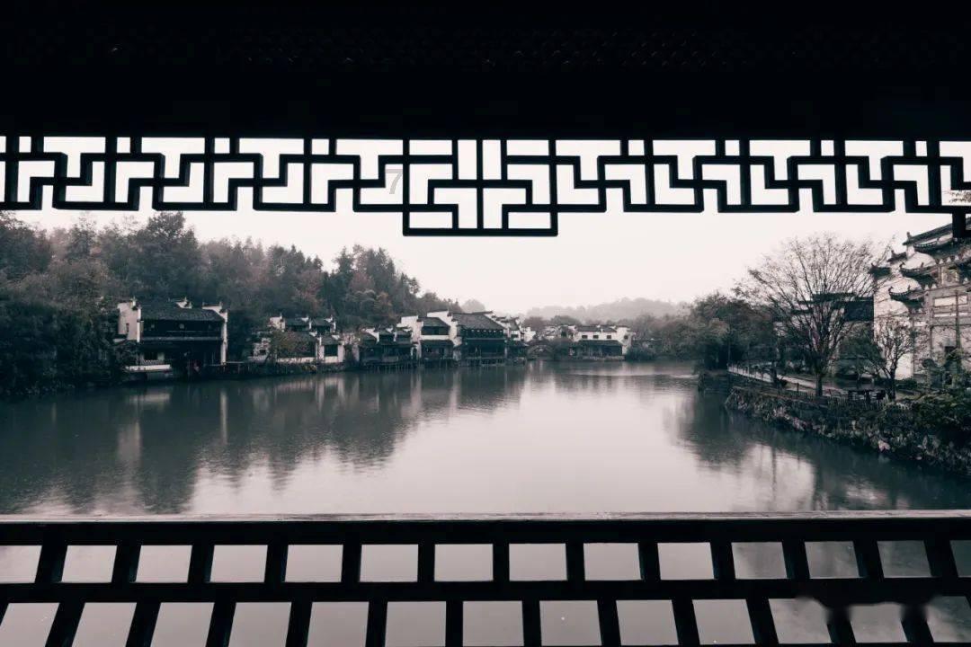 创作猫