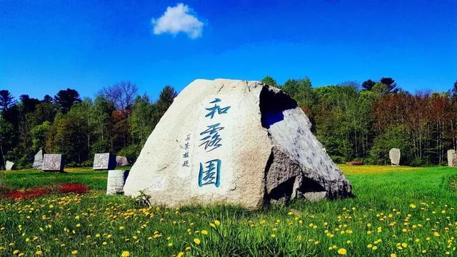 救援非洲金猫