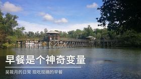 逃离太古森林