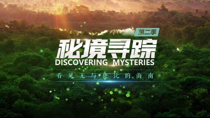 《浪姐3》五公再现抱团场面，为什么薛凯琪拒加入王心凌组？游戏画面
