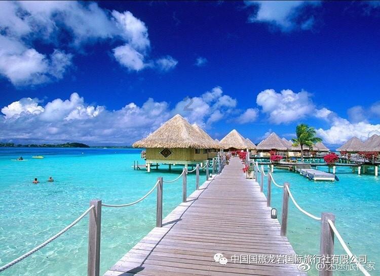 沪江开心词场