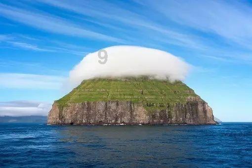 雨后盛放