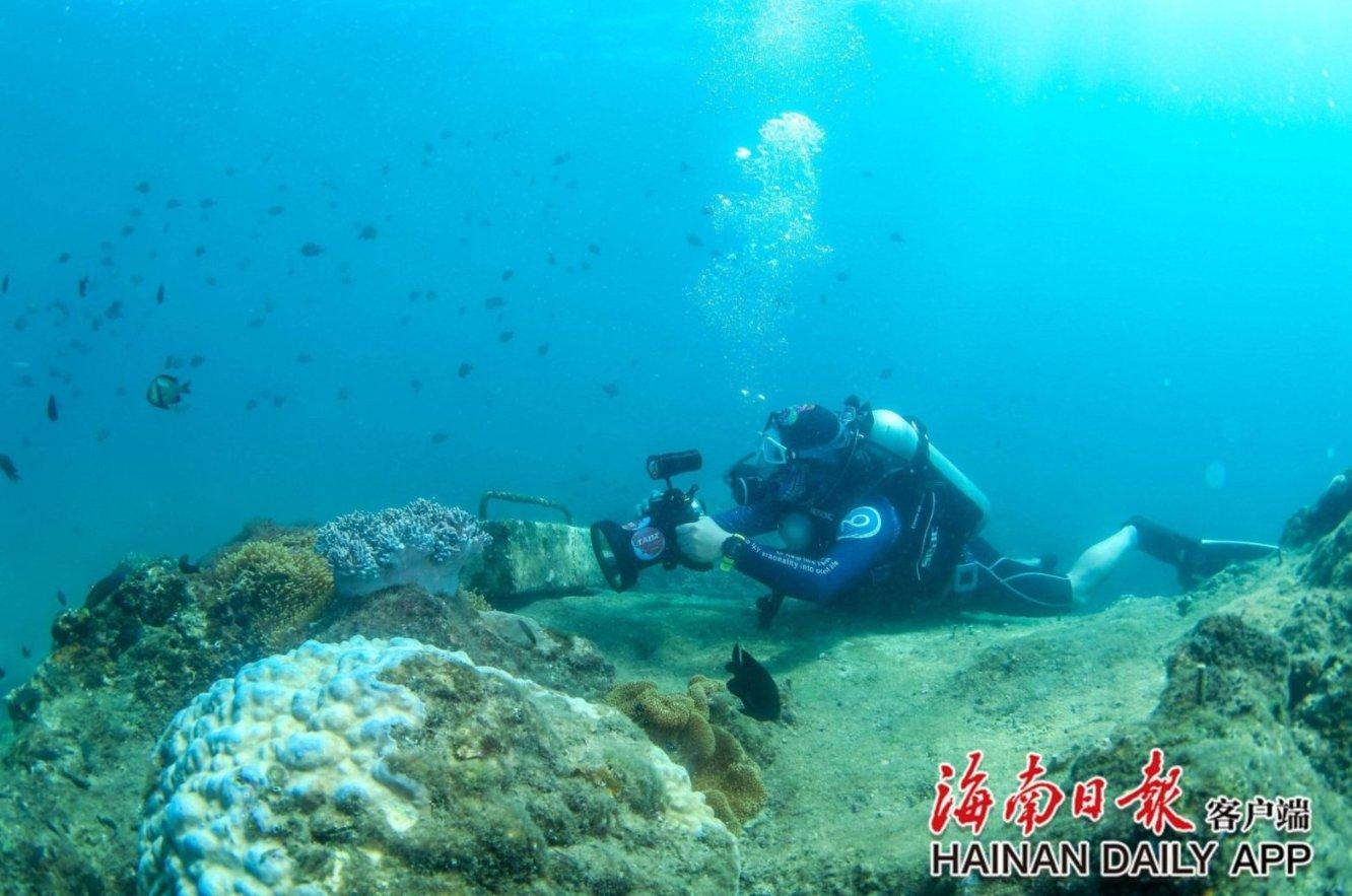 海晏：千余幅春联字画让群众笑开颜