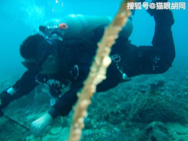 喝黄芪水,人为什么会变瘦?提醒:黄芪水的副作用,别再忽视