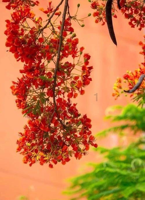 脑洞小老弟无实名认证