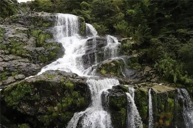 逃出郊外露营地