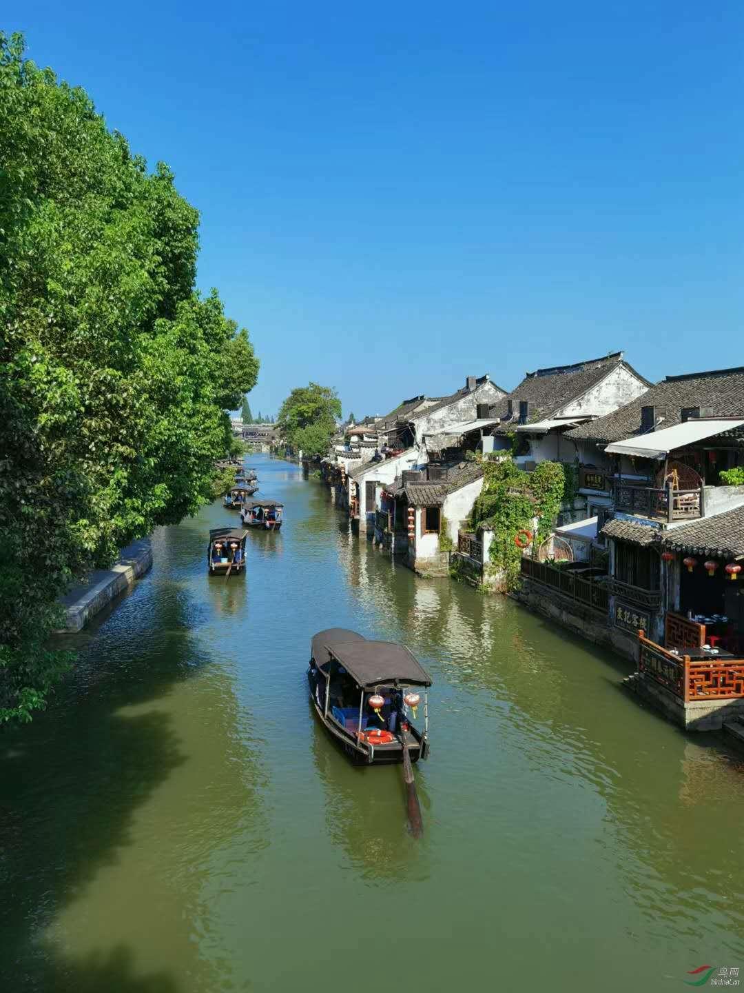 俄对乌开出停火要求，你觉得乌克兰能接受吗？俄乌战争能停止吗？游戏画面